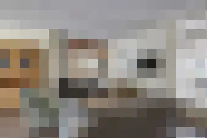 Zandhorstlaan 8 Oldenzaal thumbnail 4