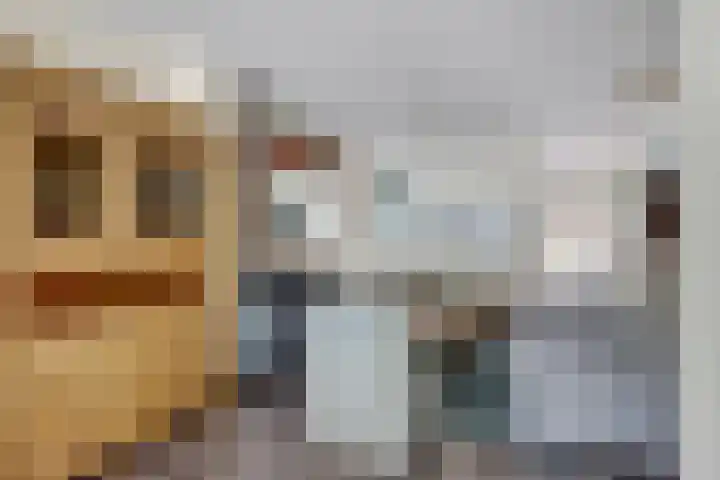 Zandhorstlaan 8 Oldenzaal thumbnail 6