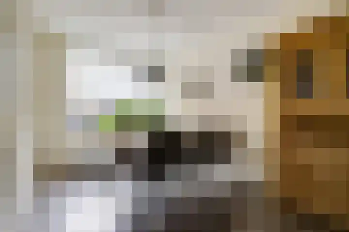 Zandhorstlaan 8 Oldenzaal thumbnail 8