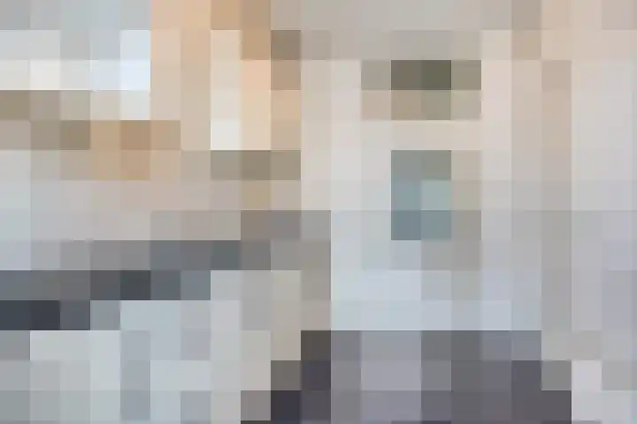 Zandhovenstraat 2 Breda thumbnail 10