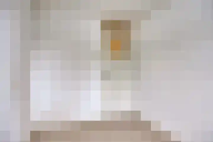Zandhovenstraat 2 Breda thumbnail 17