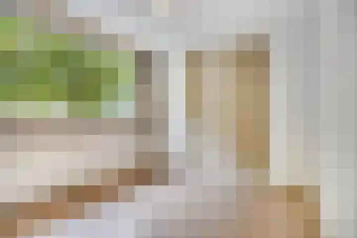 Zandhovenstraat 2 Breda thumbnail 18