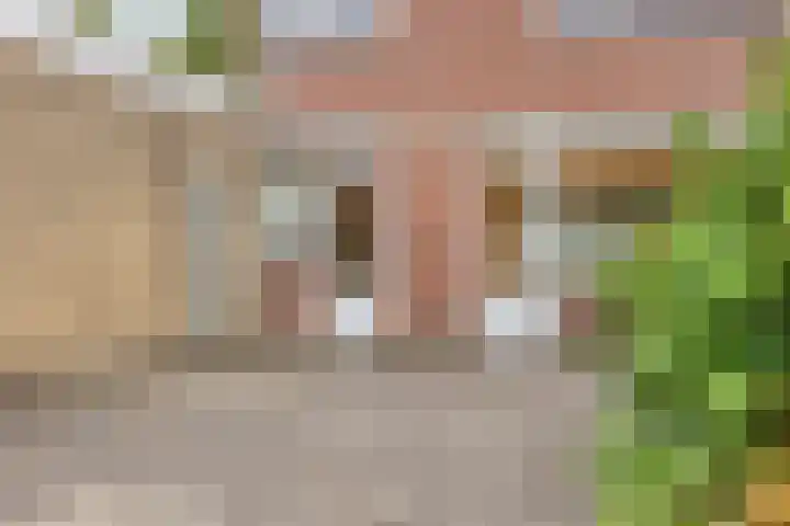 Zandhovenstraat 2 Breda thumbnail 24