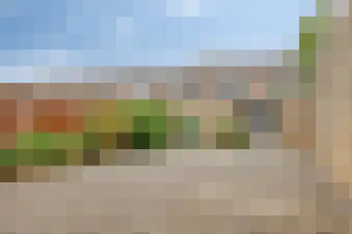 Zandhovenstraat 2 Breda thumbnail 25