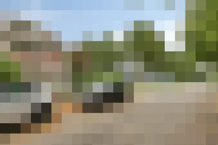 Zandhovenstraat 2 Breda thumbnail 30