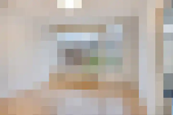 Zandhovenstraat 2 Breda thumbnail 4