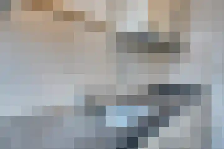 Zandhovenstraat 2 Breda thumbnail 8
