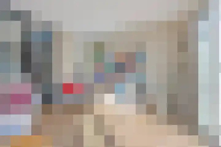 Zandhuisje 14 Hooglanderveen thumbnail 13