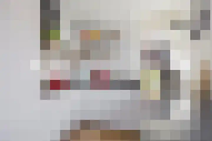 Zandhuisje 14 Hooglanderveen thumbnail 19
