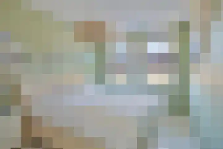 Zandhuisje 14 Hooglanderveen thumbnail 22