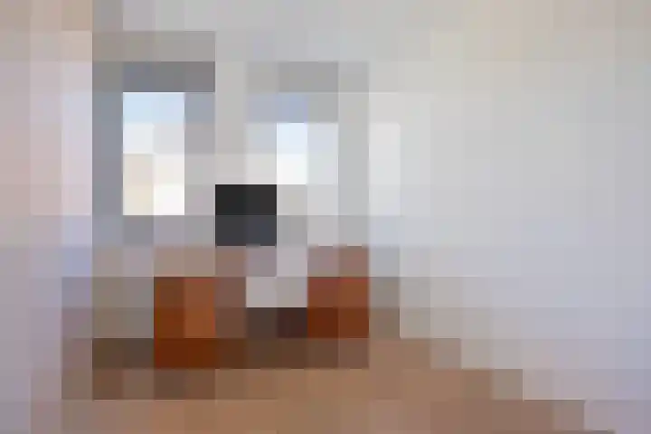 Zandhuisje 14 Hooglanderveen thumbnail 26