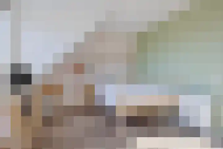 Zandhuisje 14 Hooglanderveen thumbnail 29