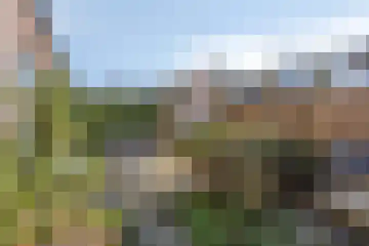 Zandhuisje 14 Hooglanderveen thumbnail 35