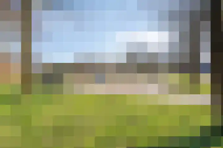 Zandhuisje 14 Hooglanderveen thumbnail 38