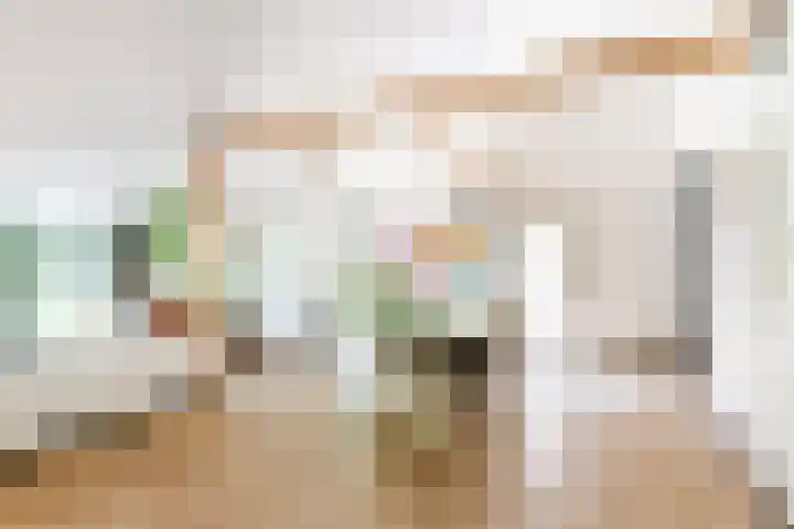Zandhuisweg 100 Hulshorst thumbnail 12
