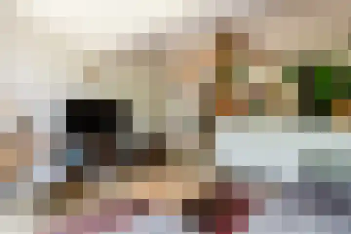 Zandhuisweg 100 Hulshorst thumbnail 13