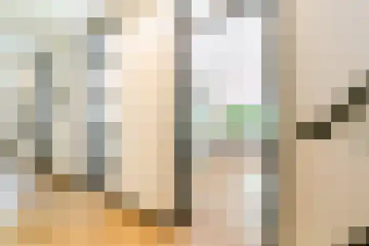 Zandhuisweg 100 Hulshorst thumbnail 19
