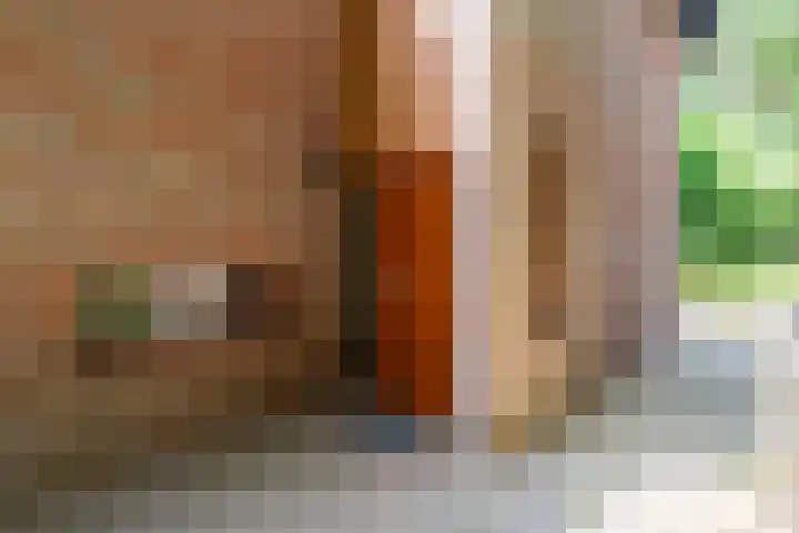 Zandhuisweg 100 Hulshorst thumbnail 33