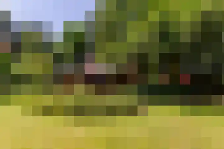 Zandhuisweg 100 Hulshorst thumbnail 35