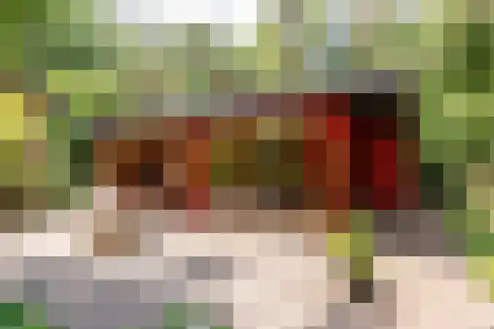 Zandhuisweg 100 Hulshorst thumbnail 36