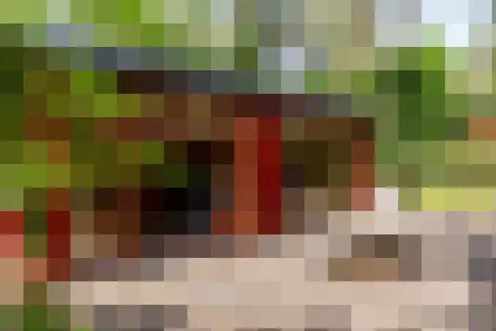 Zandhuisweg 100 Hulshorst thumbnail 37