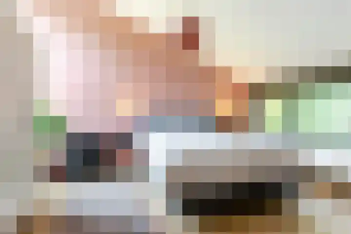 Zandhuisweg 100 Hulshorst thumbnail 4