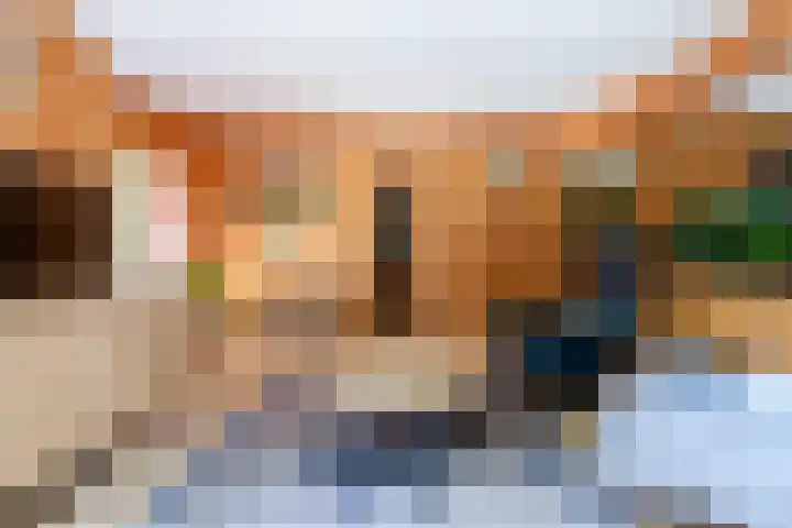 Zandhuisweg 100 Hulshorst thumbnail 41