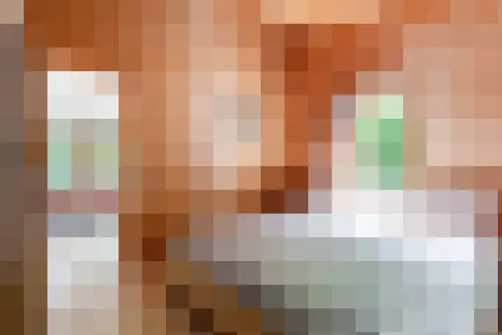 Zandhuisweg 100 Hulshorst thumbnail 45