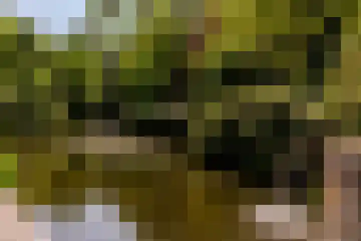 Zandhuisweg 100 Hulshorst thumbnail 49