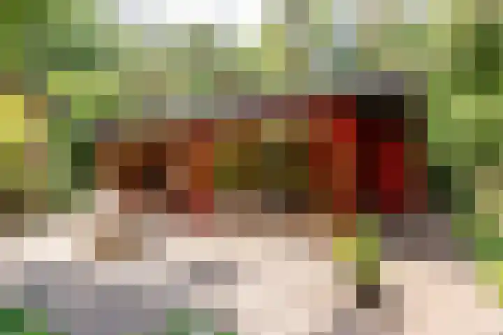 Zandhuisweg 100 Hulshorst thumbnail 5