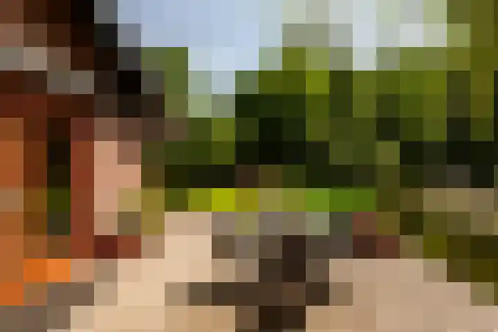 Zandhuisweg 100 Hulshorst thumbnail 50