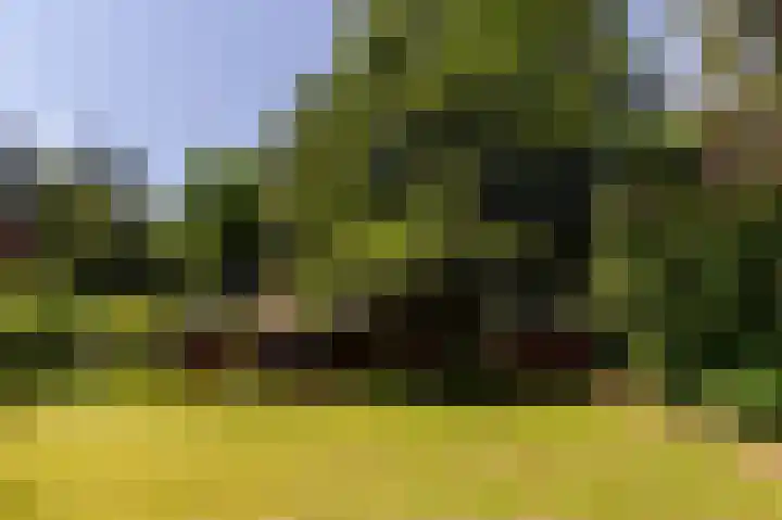 Zandhuisweg 100 Hulshorst thumbnail 52