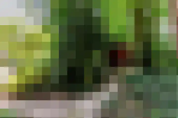 Zandhuisweg 100 Hulshorst thumbnail 53