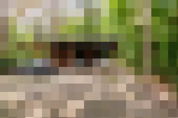 Zandhuisweg 100 Hulshorst thumbnail 55