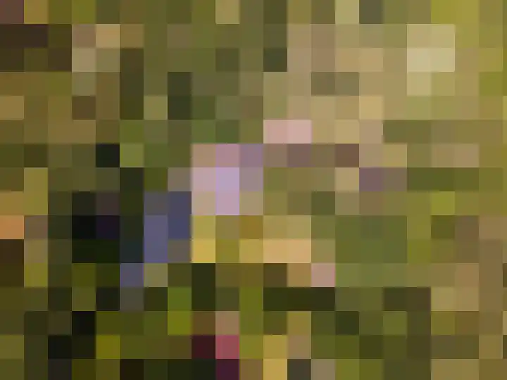 Zandhuisweg 100 Hulshorst thumbnail 57