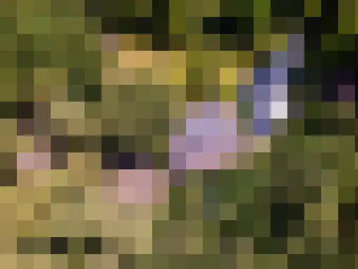 Zandhuisweg 100 Hulshorst thumbnail 58