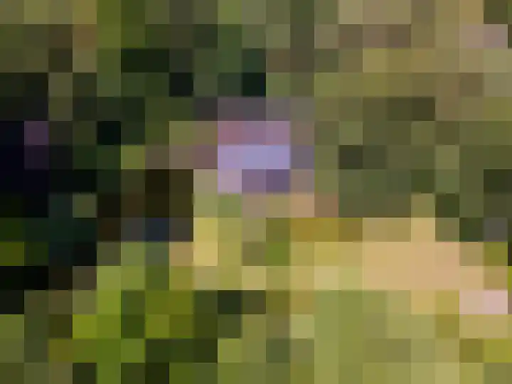 Zandhuisweg 100 Hulshorst thumbnail 59