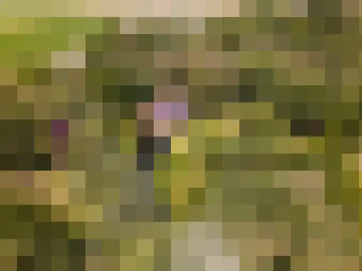 Zandhuisweg 100 Hulshorst thumbnail 60