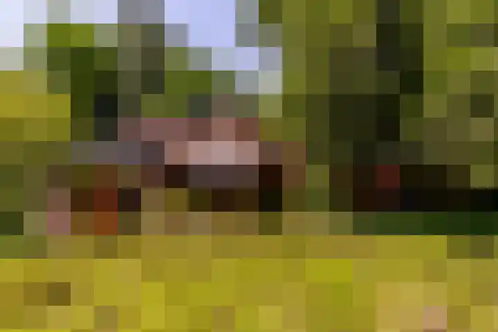 Zandhuisweg 100 Hulshorst thumbnail 66