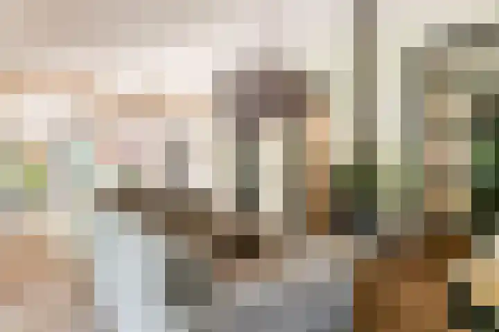 Zandhuisweg 100 Hulshorst thumbnail 9