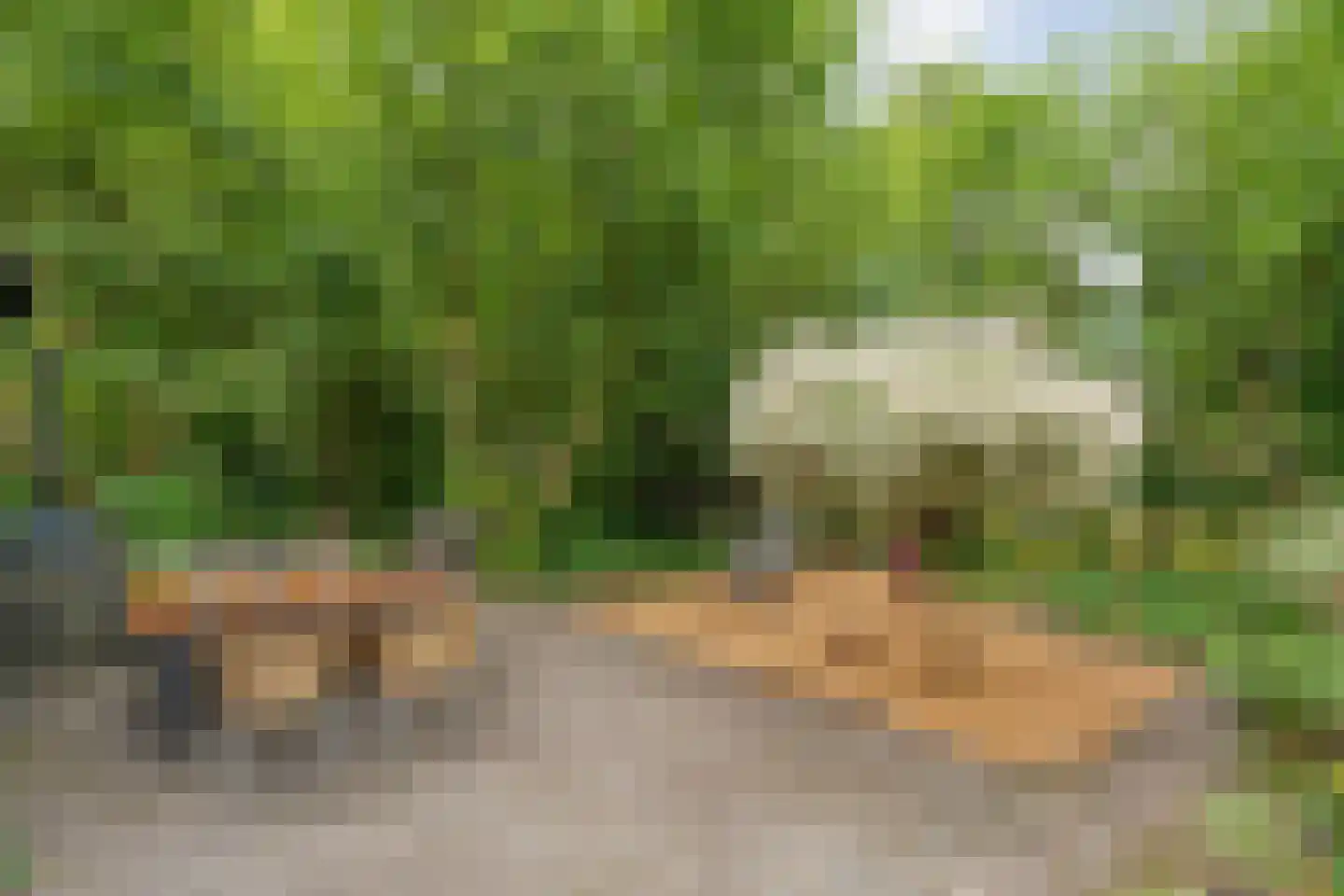 Zandhuizerweg 31 Zandhuizen thumbnail 10