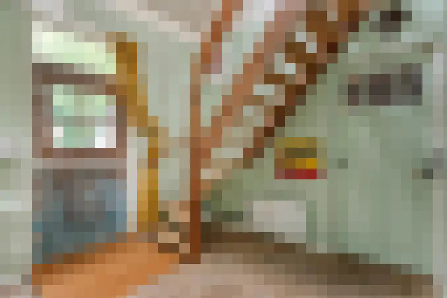 Zandhuizerweg 31 Zandhuizen thumbnail 12