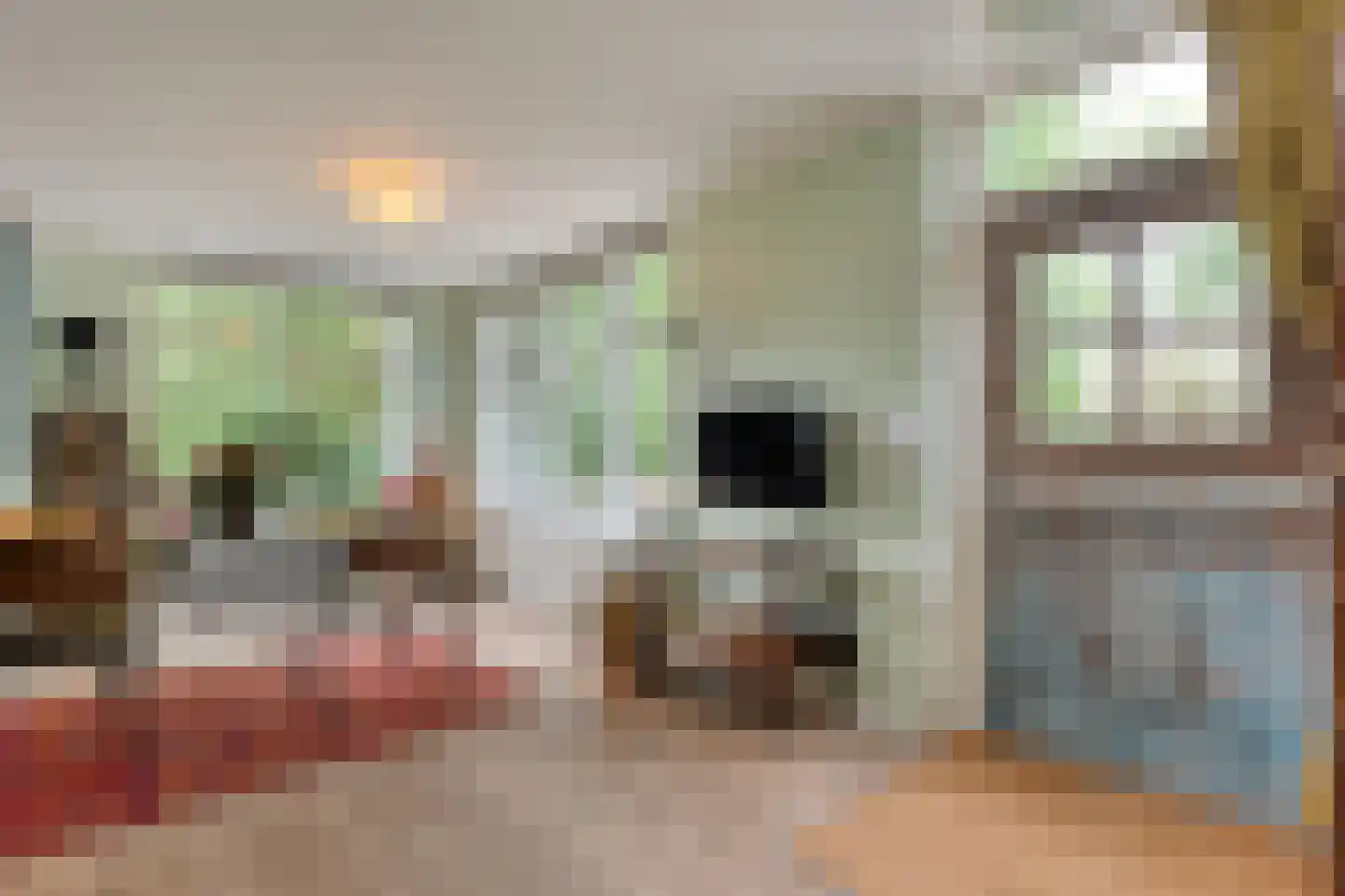 Zandhuizerweg 31 Zandhuizen thumbnail 13