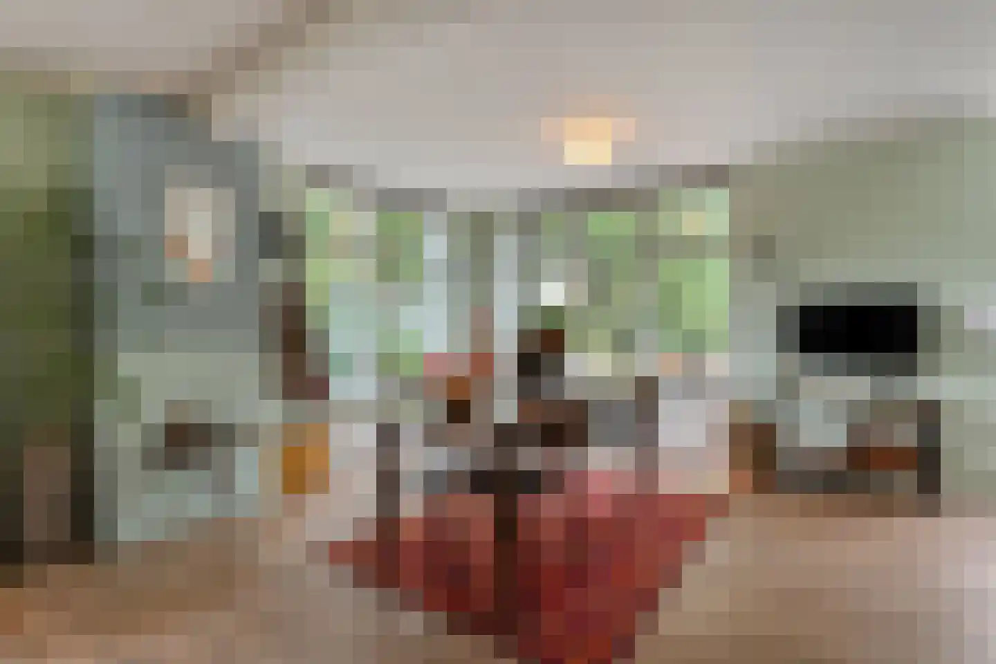 Zandhuizerweg 31 Zandhuizen thumbnail 15