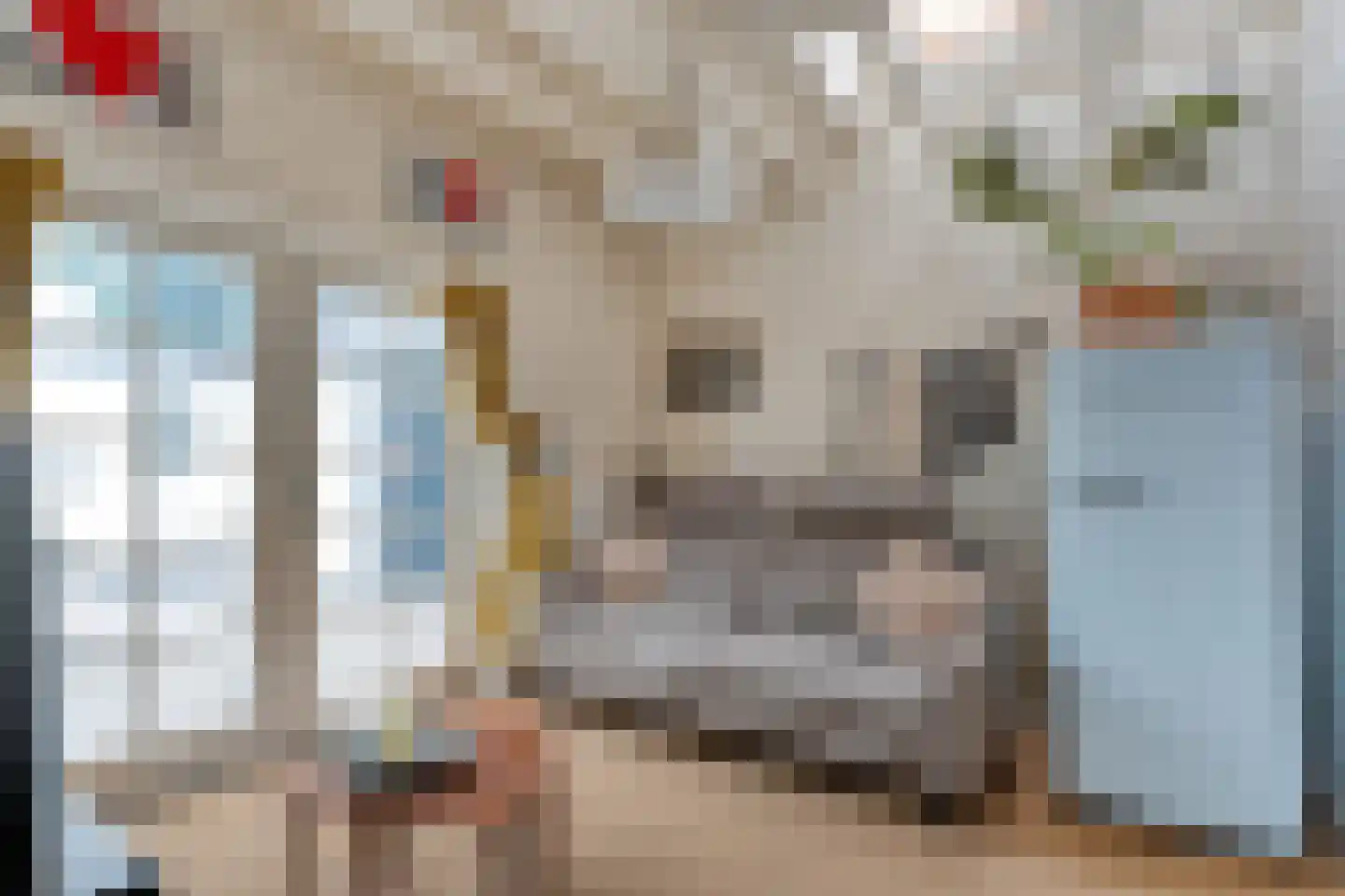 Zandhuizerweg 31 Zandhuizen thumbnail 24