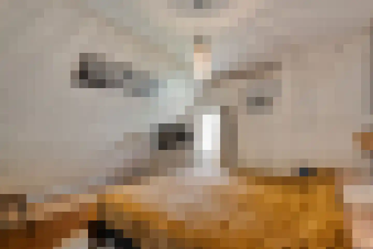 Zandhuizerweg 31 Zandhuizen thumbnail 31