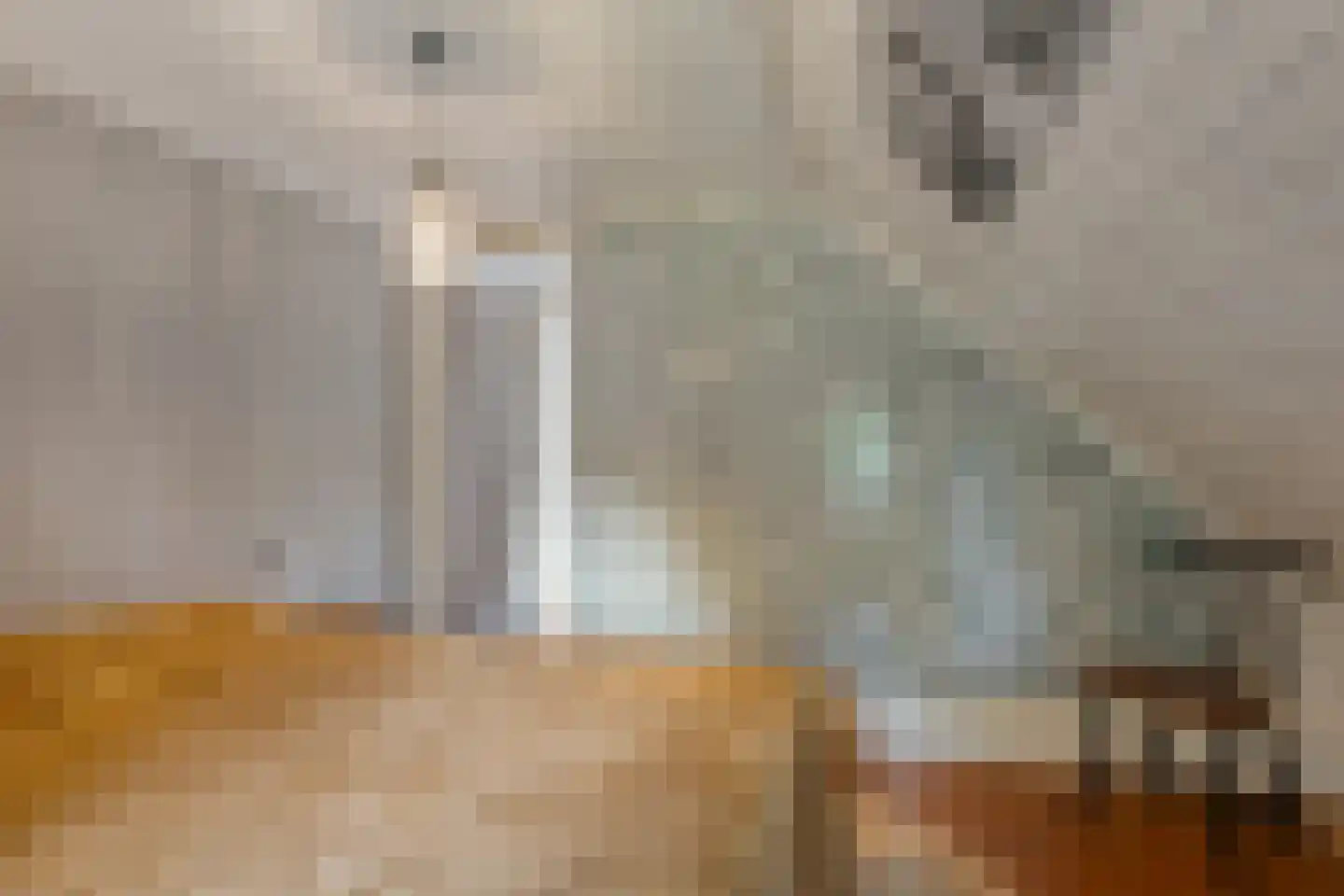 Zandhuizerweg 31 Zandhuizen thumbnail 32
