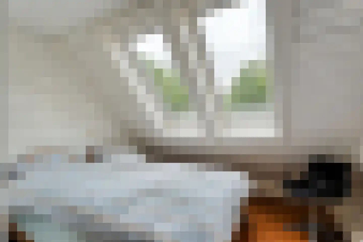 Zandhuizerweg 31 Zandhuizen thumbnail 35