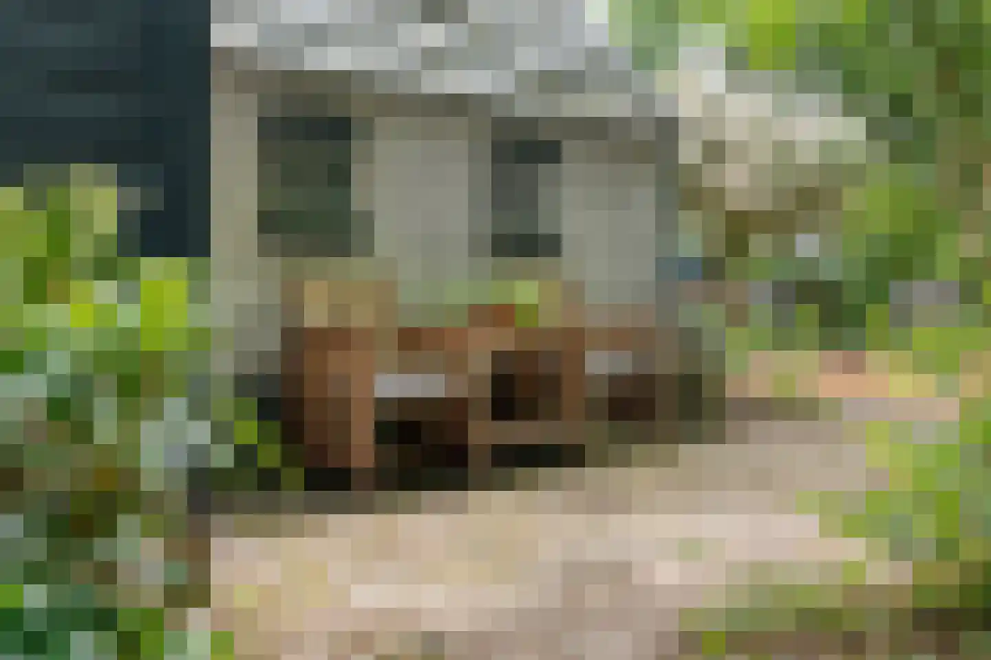 Zandhuizerweg 31 Zandhuizen thumbnail 43