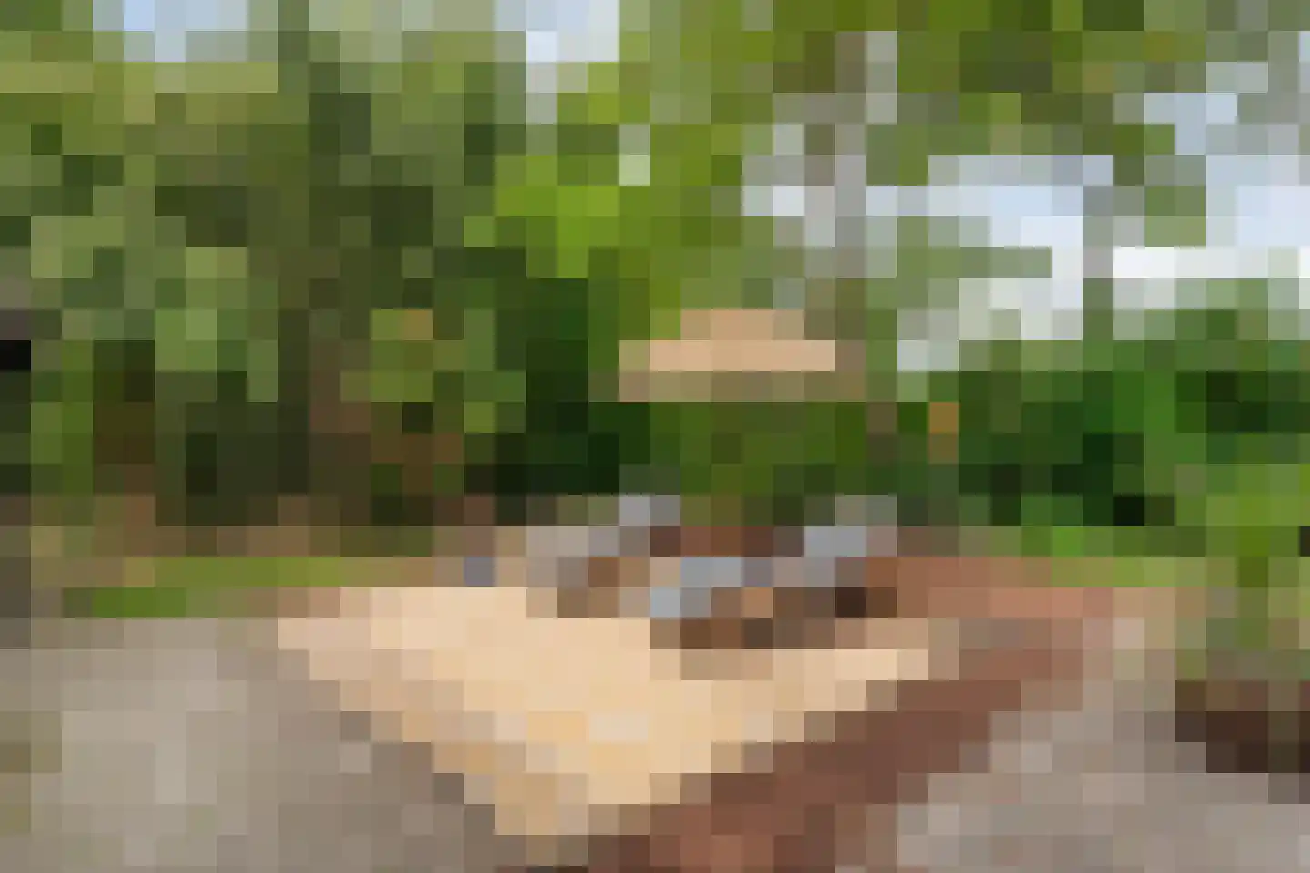 Zandhuizerweg 31 Zandhuizen thumbnail 45